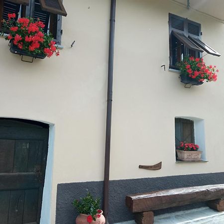 Agriturismo U'Spigu Nonna Annetta Nasino ภายนอก รูปภาพ