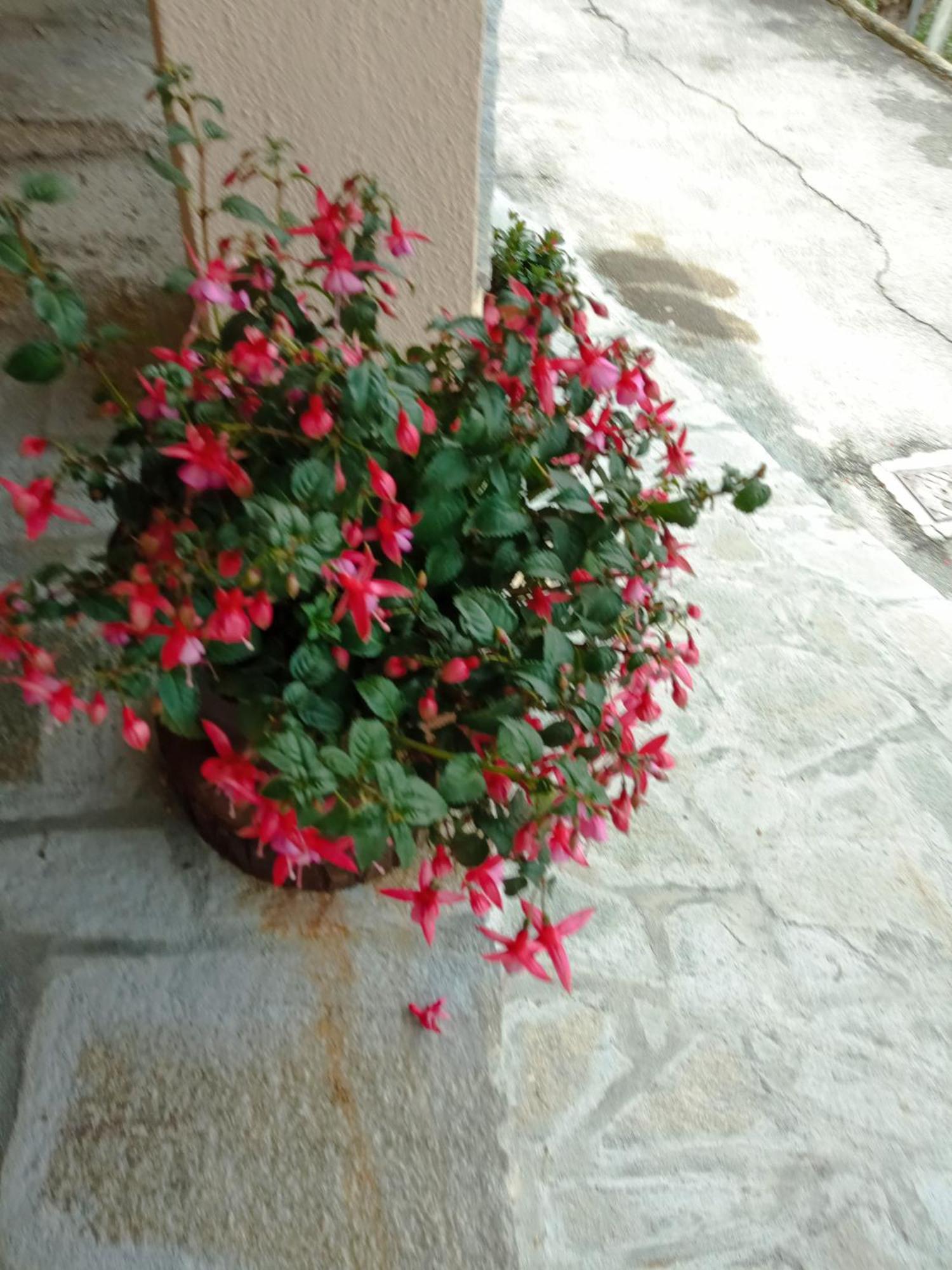 Agriturismo U'Spigu Nonna Annetta Nasino ภายนอก รูปภาพ