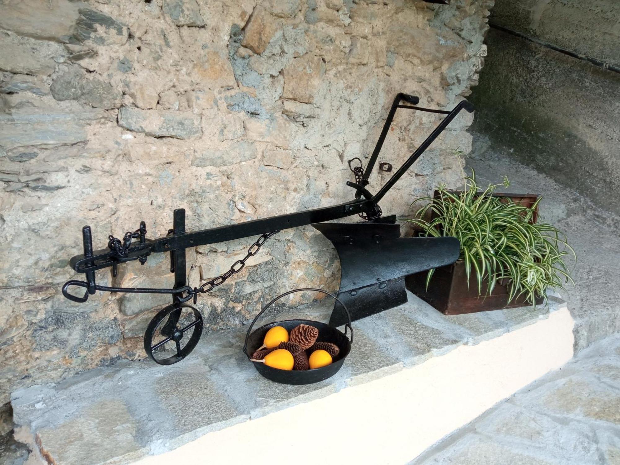 Agriturismo U'Spigu Nonna Annetta Nasino ภายนอก รูปภาพ