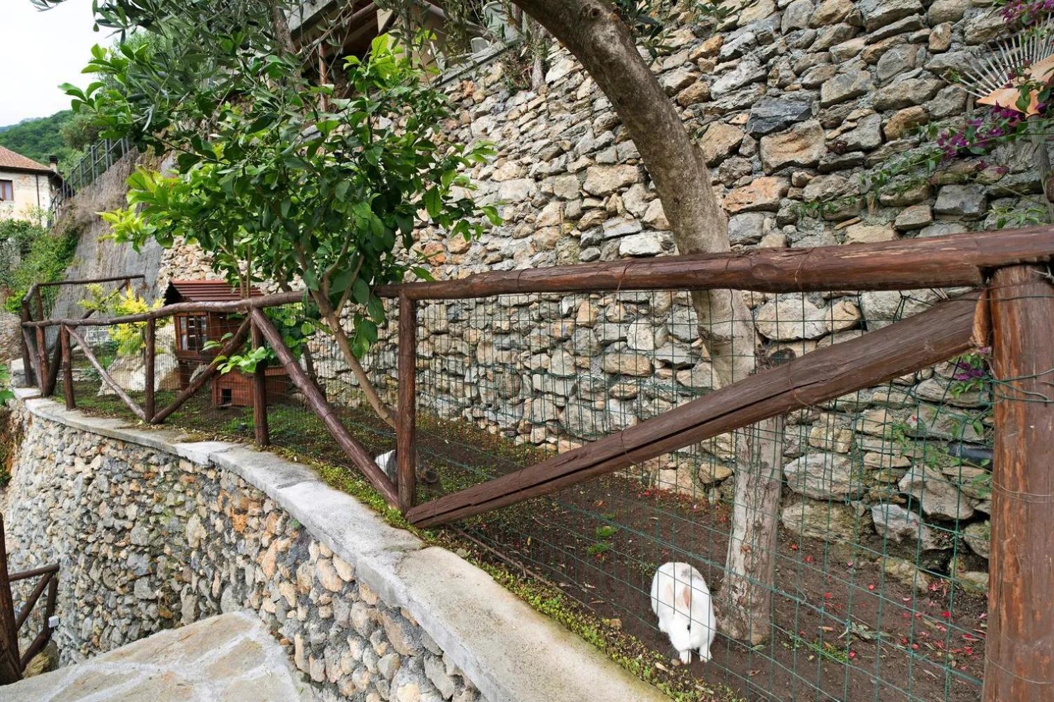 Agriturismo U'Spigu Nonna Annetta Nasino ภายนอก รูปภาพ